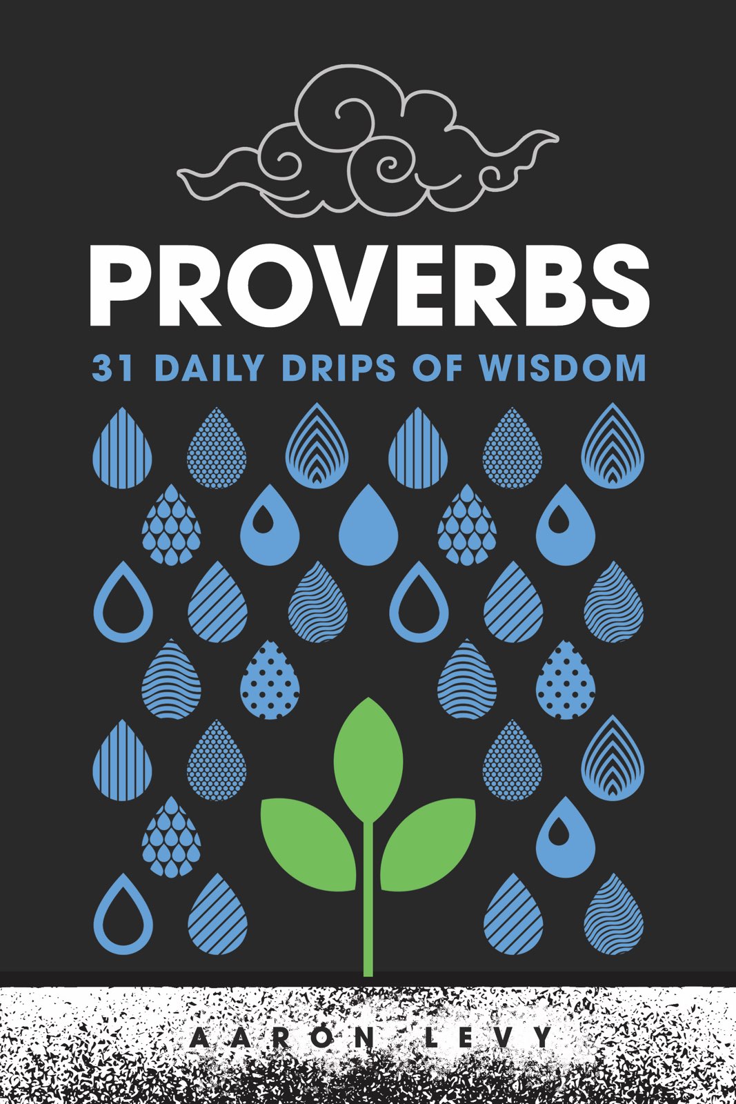 Proverbs - 31 Daily Drips of Wisdom